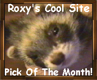 Roxy's Cool Site Award