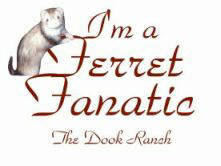 Click here for your FREE Ferret Fanatic Graphic!